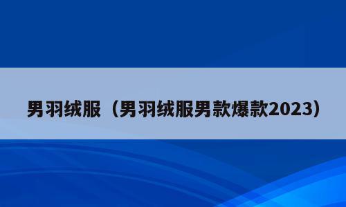 男羽绒服（男羽绒服男款爆款2023）
