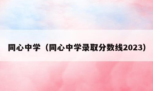 同心中学（同心中学录取分数线2023）