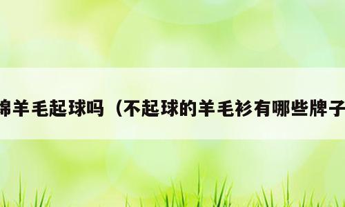 绵羊毛起球吗（不起球的羊毛衫有哪些牌子）