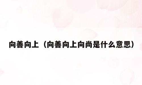 向善向上（向善向上向尚是什么意思）