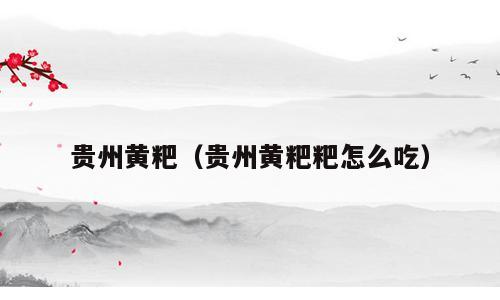 贵州黄粑（贵州黄粑粑怎么吃）