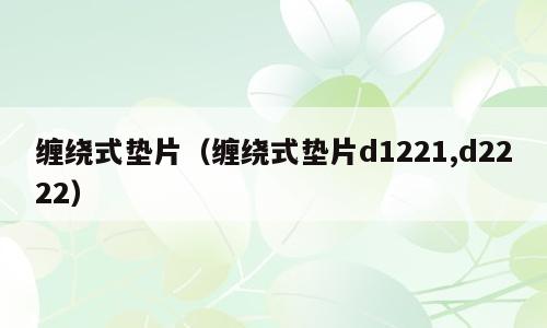 缠绕式垫片（缠绕式垫片d1221,d2222）