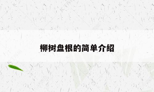 柳树盘根的简单介绍
