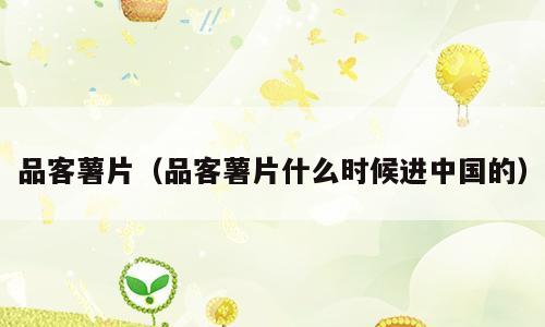 品客薯片（品客薯片什么时候进中国的）