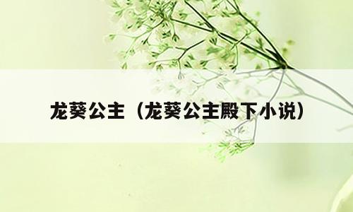 龙葵公主（龙葵公主殿下小说）