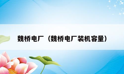 魏桥电厂（魏桥电厂装机容量）