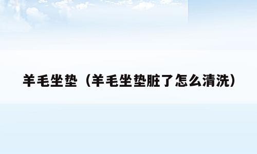 羊毛坐垫（羊毛坐垫脏了怎么清洗）