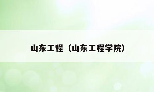 山东工程（山东工程学院）