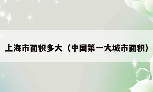 上海市面积多大（中国第一大城市面积）