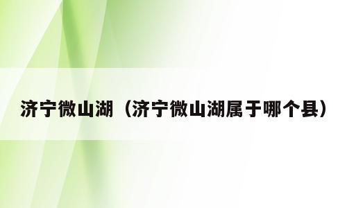 济宁微山湖（济宁微山湖属于哪个县）