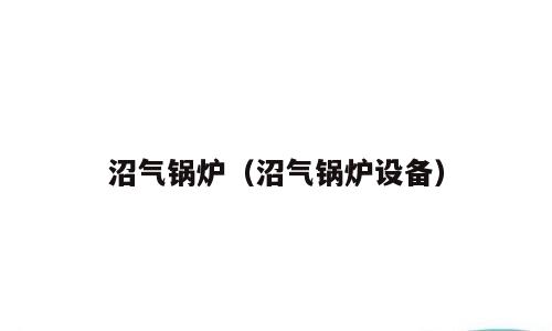沼气锅炉（沼气锅炉设备）