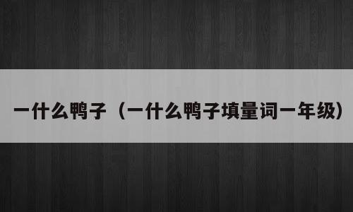 一什么鸭子（一什么鸭子填量词一年级）
