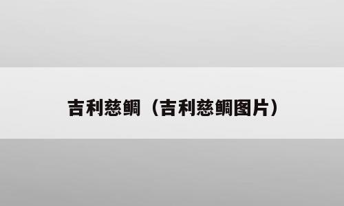 吉利慈鲷（吉利慈鲷图片）