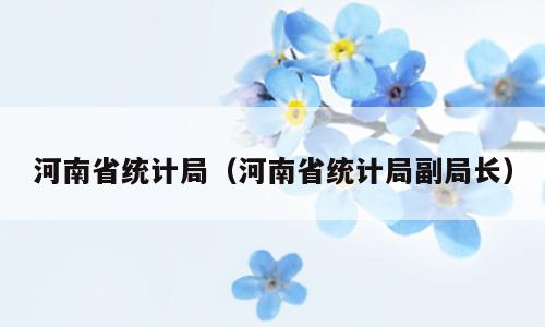 河南省统计局（河南省统计局副局长）