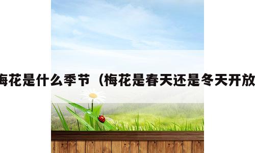 梅花是什么季节（梅花是春天还是冬天开放）