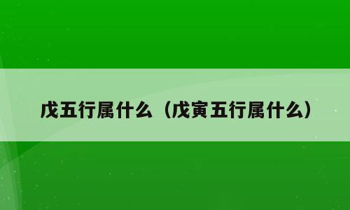 戊五行属什么（戊寅五行属什么）