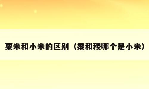 粟米和小米的区别（黍和稷哪个是小米）