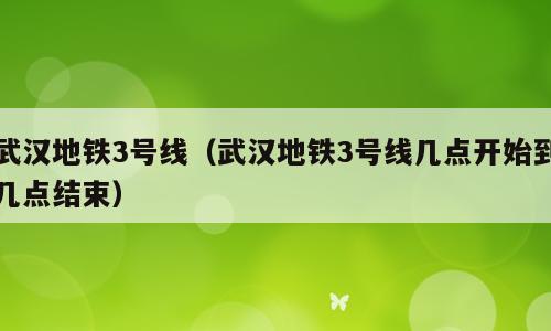 武汉地铁3号线（武汉地铁3号线几点开始到几点结束）