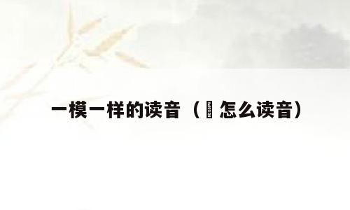 一模一样的读音（赟怎么读音）