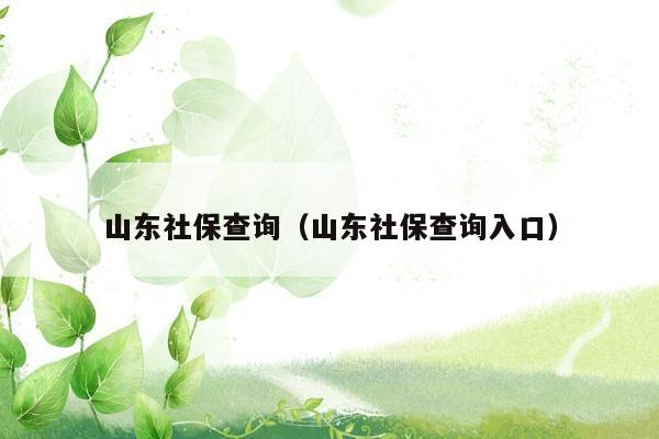 山东社保查询（山东社保查询入口）