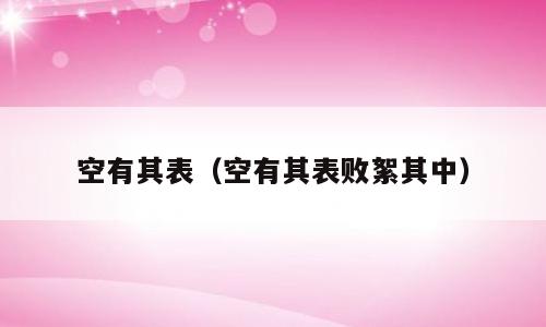 空有其表（空有其表败絮其中）