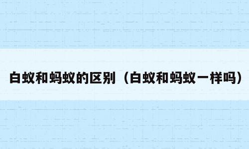 白蚁和蚂蚁的区别（白蚁和蚂蚁一样吗）