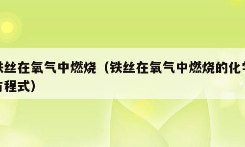 铁丝在氧气中燃烧（铁丝在氧气中燃烧的化学方程式）
