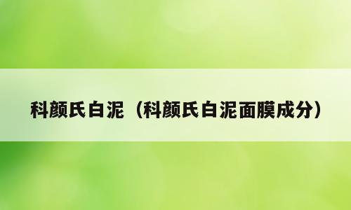 科颜氏白泥（科颜氏白泥面膜成分）