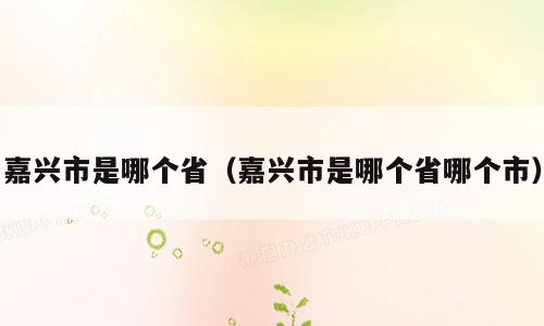 嘉兴市是哪个省（嘉兴市是哪个省哪个市）