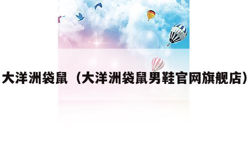 大洋洲袋鼠（大洋洲袋鼠男鞋官网旗舰店）