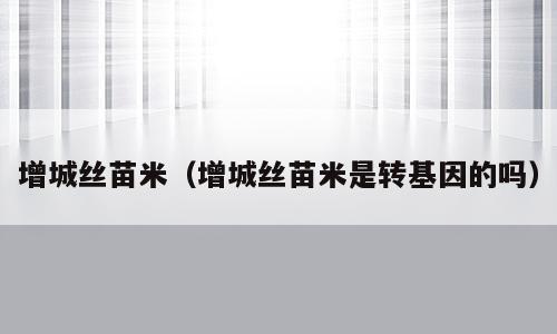 增城丝苗米（增城丝苗米是转基因的吗）