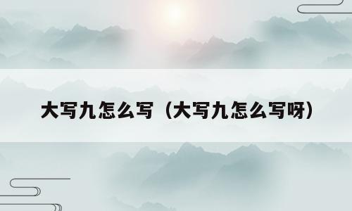 大写九怎么写（大写九怎么写呀）