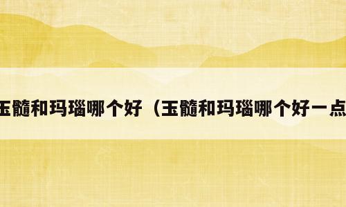 玉髓和玛瑙哪个好（玉髓和玛瑙哪个好一点）
