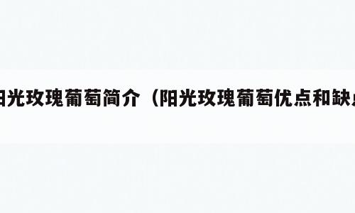 阳光玫瑰葡萄简介（阳光玫瑰葡萄优点和缺点）