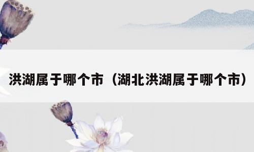 洪湖属于哪个市（湖北洪湖属于哪个市）