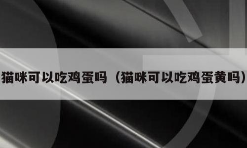 猫咪可以吃鸡蛋吗（猫咪可以吃鸡蛋黄吗）