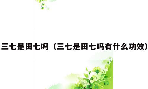 三七是田七吗（三七是田七吗有什么功效）
