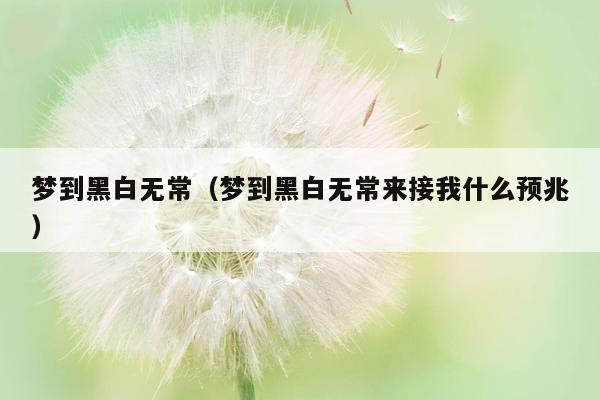 梦到黑白无常（梦到黑白无常来接我什么预兆）