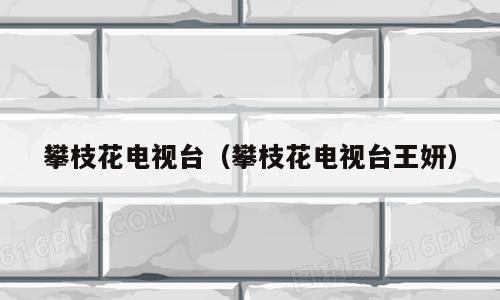 攀枝花电视台（攀枝花电视台王妍）