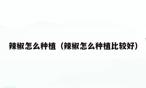 辣椒怎么种植（辣椒怎么种植比较好）