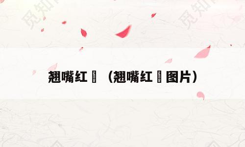 翘嘴红鲌（翘嘴红鲌图片）