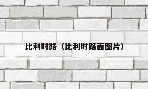 比利时路（比利时路面图片）