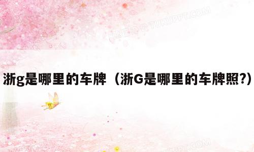 浙g是哪里的车牌（浙G是哪里的车牌照?）