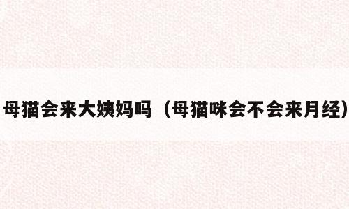 母猫会来大姨妈吗（母猫咪会不会来月经）