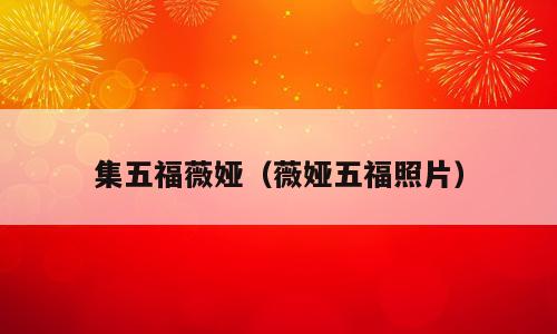 集五福薇娅（薇娅五福照片）