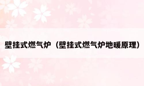 壁挂式燃气炉（壁挂式燃气炉地暖原理）
