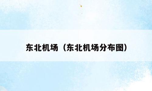 东北机场（东北机场分布图）