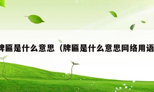 牌匾是什么意思（牌匾是什么意思网络用语）