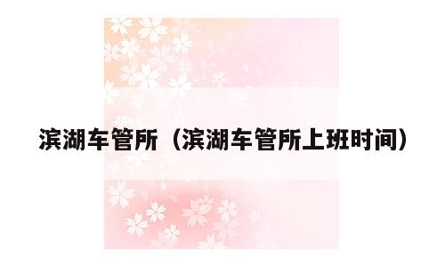 滨湖车管所（滨湖车管所上班时间）