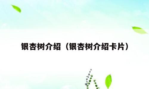 银杏树介绍（银杏树介绍卡片）